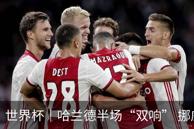 世界杯｜哈兰德半场“双响” 挪威4:1大胜伊拉克