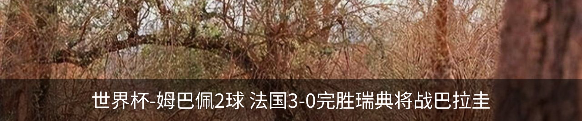 热点资讯